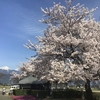 日々雑感（住みよさランキング）