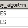 SQL Server 2008 Transparent Data Encryption