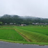 里山シリーズ７８　初夏の里山風景