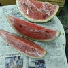 フルーツとコーヒー合わない？～元八百屋さんが考える食べ合わせ計画～