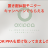 【OKIPPA】置き配体験モニターキャンペーンでもらえるOKIPPAを受け取ってきました【いろいろ入っててビックリ】