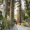 プレ誕生日_ワンコ寺　光前寺②