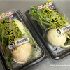 七草粥のための七草のパック品にて、またしても教訓！？