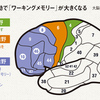 ＜脳の新科学＞走ればボケ防止＆頭がよくなる【1】