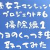 60歳女子マンション売却プロジェクト#６ 掃除編#1 コクヨのくっつき虫を取ってみた / 崖っぷち定年女子