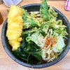 めんや（葛西）あしたば天きしめん＋イカ天