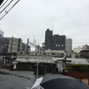 船橋駅前も雪が降ってきました⛄