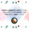 宮舘涼太は亀梨和也全肯定オタクだし和兄はダテくんが大好きなことが前面に出ていた亀チャンネル