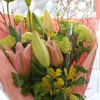DAILY FLOWERS