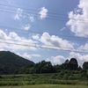 遂に梅雨明け、開田高原も夏本番☀️