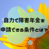 体験者は語る！自力で障害年金を申請できる13の条件