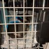 子犬お迎え初日