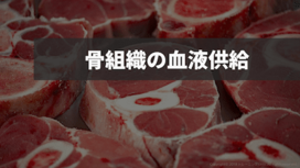 骨組織の血液供給｜栄養動脈・骨端動脈・骨幹端動脈・ハバース管