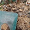 屑薪を少しだから割って　空調服を着て　Splitting the scrap wood a little