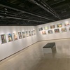 あまりに美しい写真は絵画と見紛う【NikonSalon / THE GALLERY】