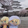 小田原城にて桜を愛でる。