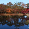愛知県三河地方の紅葉≪#6≫ 　― 三度目のタカドヤ湿地 ―