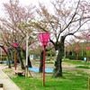 摂津峡の桜も