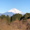 今朝の景色