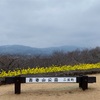 旧吉田茂邸と菜の花が魅せる神奈川の絶景