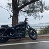 ハーレー買いました。