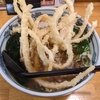 藤沢　里のうどん　肉ごぼう天うどん