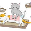 マッサージする猫