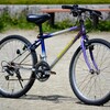 Panasonic MOUNTAIN CAT 24インチ