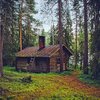 貧しくとも君の生活を愛したまえ🌳🏡〜ソロー様「森の生活」たまには哲学も良き🌿