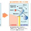 季節の変わり目はなぜ体調不良になりやすいのか？×発寒西町整骨院