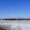 十勝の冬の景色（ハクチョウ）