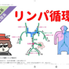 リンパマッサージに行きすぎると？