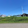 大橋さくらんぼ園へゆく