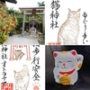 【遠野郷八幡宮 猫神社】家猫→野良猫→社務猫 トラキチのニャン生【御祭神オトラサマ】