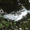 梅雨の海上の森