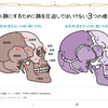 頭蓋骨は脳のゆりかご