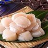 【お題】ホタテ