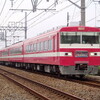 今日の収穫