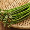健康にいい！「山菜」ワラビに含まれる栄養と健康効果10選について
