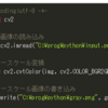 OpenCVでカラー画像をグレーに変換！プログラミング挑戦してみた画像処理編(python)