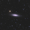 りゅう座の銀河 NGC6503