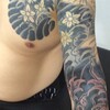 刺青動画、和彫り動画、大和梵天、和彫り、鯉と桜吹雪の彫り物, Japanese_traditional_tattoo