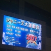 ジャニーズ大運動会2017に行ってきました/待っていたのは最幸の週末だ！（１）