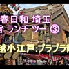 小春日和 埼玉 極旨 ランチ ツー ⓷最終章 『川越小江戸』プラプラ散歩