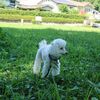 平日ドライブ【散在ガ池森林公園】【源頼朝の墓】他　神奈川 鎌倉