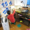 うたちゃん日記♪2024/11/8♪水槽と水草