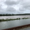 雨ヤバい