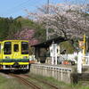 春爛漫のいすみ鉄道