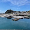 海上釣堀　雑賀崎シーパークに行ってきた