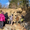 【活動日誌】平群谷、竜田川東側の遺跡②